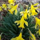 광야농장 이미지