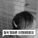행화촌 자연테마파크 이미지