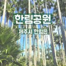 용암쉼 | [제주 제주시] 한림읍 가볼 만한 곳 &#39;한림공원&#39; 후기