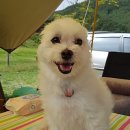 금수문화공원야영장(4) 이미지