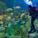 가정공원 이미지