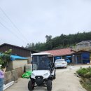 신안골프 | 전남 신안 골프카트 납품후기