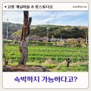 개실마을 (옥외1) | 고령 여행 가족나들이 추천 개실마을 정보 위치 방문 후기