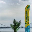 요가(초급) 이미지
