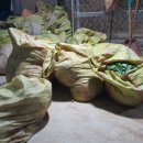 정솔농장 이미지