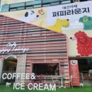 퍼피라운지 이미지