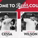 루이스(Luis) 이미지