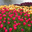 한재골(광장) 이미지