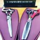 시저스벨리
