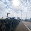 귀덕리646 | 겨울 제주도 여행 5일차 서촌제, 새별오름 나홀로나무, 그레이그로브, 미친부엌