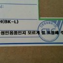 놀자꾸나 이미지