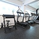 파인드 미 짐 이미지