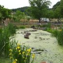 갈곡 연정 이미지