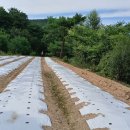 봉덕농장 이미지