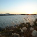 미르피아오토캠핑장 이미지