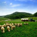 휘게목장 이미지