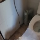 일산1리 네이버블로그