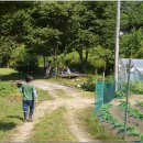 남진농장 이미지