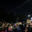 🕯️ 국회의사당 집회 다녀왔어요 (w.마미) 🪧