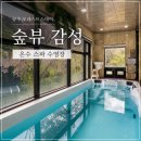 공주풀빌라 포레스트스테이 후기, 동학사 스파 수영장 온수 무료