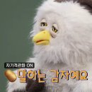 딩동댕 이미지