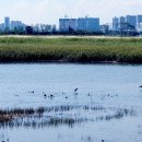 하단동1142 이미지