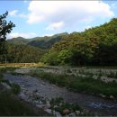 계촌초등학교 이미지