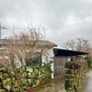 말깡거리 이미지