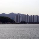 물왕저수지(시청)