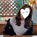 올드스캣 이미지