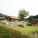 유가사길 이미지