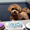 깜미슈퍼 이미지