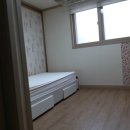 다솔공인중개사사무소 이미지