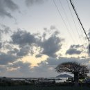 제주스테이 루다 이미지