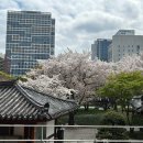 중앙로L 이미지