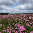 물천1리 이미지