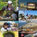 도시어부 이미지