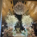 7373 | <안산 더 루체 웨딩홀> 헤리티지홀 소개 및 뷔페 시식, 주차 솔직 후기