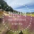 [천안] 산책하기 좋은 &#39;아름다운정원화수목&#39; 솔직후기