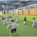 신동태권도 이미지