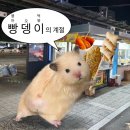 중한 PC방 | 사과가 제일 맛있었어요