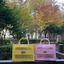 CU울산시청미소점 | CU 위글위글 빼빼로 콜라보-위글위글 젤리백