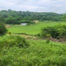 연학목장 이미지