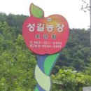 성길농장 네이버블로그