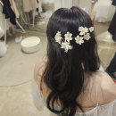 W05. 웨딩촬영 후기 : 대구 비니비치 스튜디오 촬영후기 ( 웨딩사진 기록 )