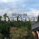 하동편백나무민박 | [공지] [연두콩빈] 하동편백자연휴양림 솔직 후기!“숲냄새에 취하고 힐링 제대로 했던 하루”