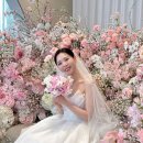 하루미 | W번외. 하루미스냅 본 촬영 후기