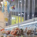 미소샌드 | 제주도 / 서귀포 매일 올레시장 지꺼진제주 제주소나이 제주사랑 미소샌드, 감귤칩과즐 등 내돈내산 후기