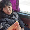 정도 K타이거즈 태권도 | 대전 문화동 산성동 오현태권도_주말프로그램 추천, 청주 아이와 가볼만 한 곳