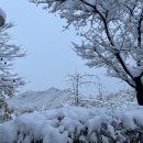 호계3동행정복지센터 이미지